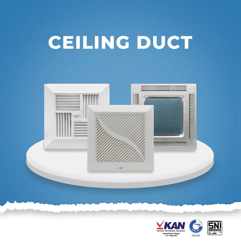  Ceiling Duct af efwrc cd 04