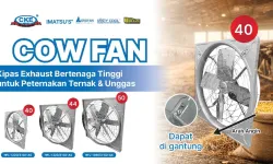 BLOG Cow Fan  Kipas Exhaust Bertenaga Tinggi untuk Peternakan Ternak  Unggas blog banner 06 april 2026 01