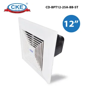 Ceiling Duct CD-BPT12-25A-BB-ST 1 cd_bpt12_25a_bb_st_01