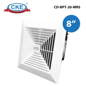 Ceiling Duct  1 cd_bpt_20_mrs_01