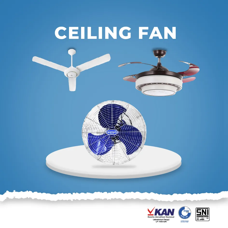  Ceiling Fan ceiling fan 02