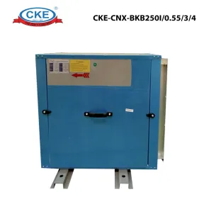 Cabinet Fan CKE-CNX-BKB250I/0.55/3/4 3 cke_cnx_bkb250i0_5534_03