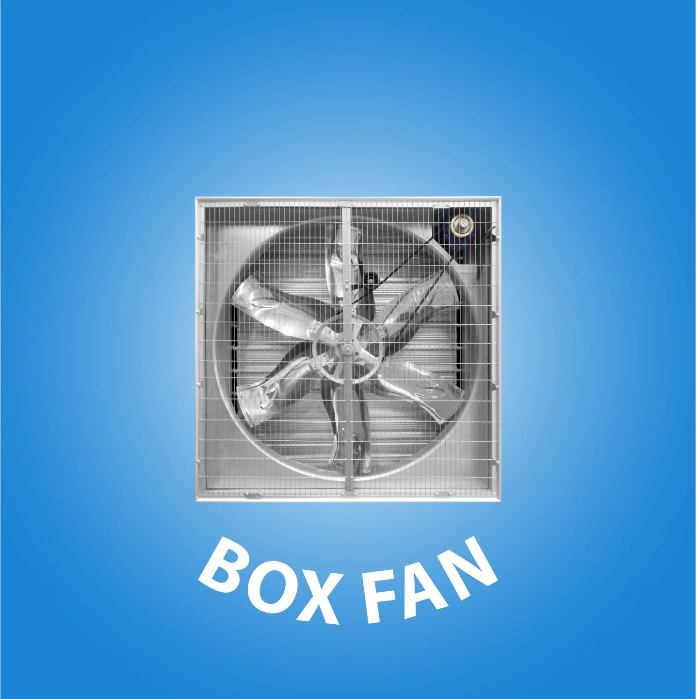  Box Fan cover kategori website 07