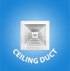 Ceiling Duct