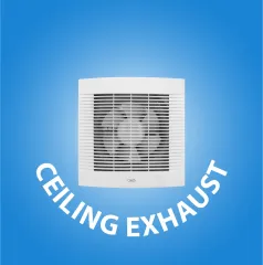 Ceiling Exhaust