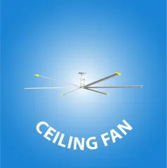 Ceiling Fan