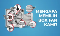 BLOG Mengapa Memilih Box Fan Kami ~blog/2022/7/22/blog